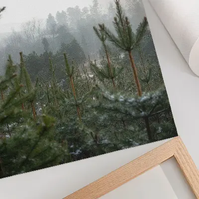 Art print featuring green pines in a foggy forest with subtle depth and a relaxing atmosphere