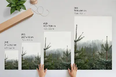 Art print featuring green pines in a foggy forest with subtle depth and a relaxing atmosphere