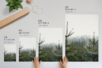Art print Green pines, fog, subtle depth, relaxing atmosphere