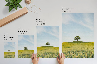 Premium wall art A tree on a hill in a yellow field