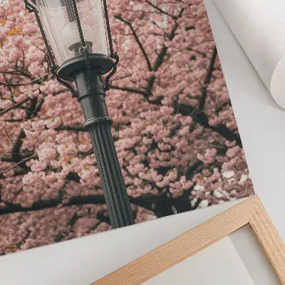 Decorative poster pink trees and black lantern with a nostalgic atmosphere