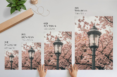 Decorative poster Pink trees black lantern nostalgic atmosphere