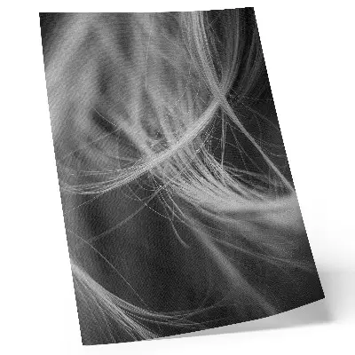 Premium wall art abstract modern style with delicate lines