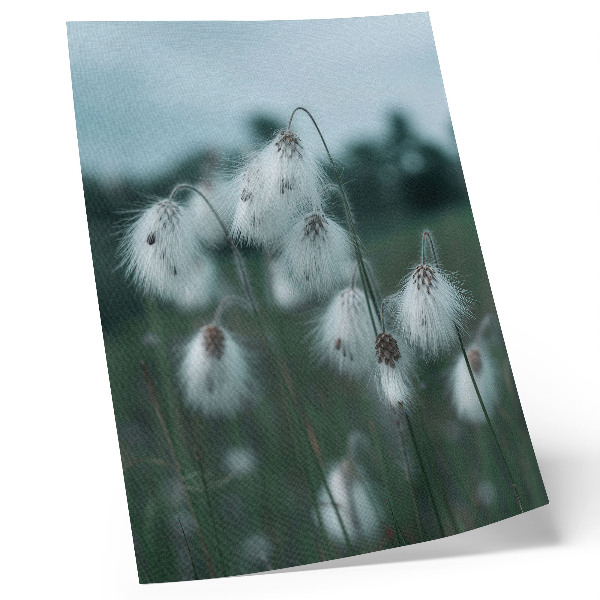 Poster Airy ears of grass, delicacy, blue, peace