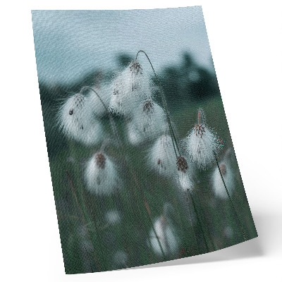 Poster Airy ears of grass, delicacy, blue, peace