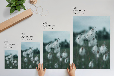 Poster Airy ears of grass, delicacy, blue, peace