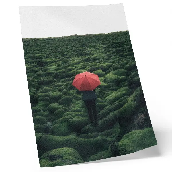 Poster with dominant greenery and a mysterious, peaceful contrast