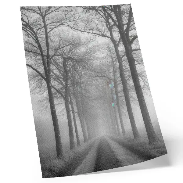 Misty Tree Alley Wall Art modern minimalist decorative print