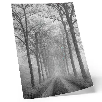 Misty Tree Alley Wall Art modern minimalist decorative print