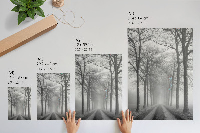 Premium wall art Misty Tree Alley Modern Minimalism
