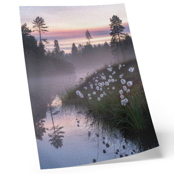 Poster A quiet morning by the lake in the fog