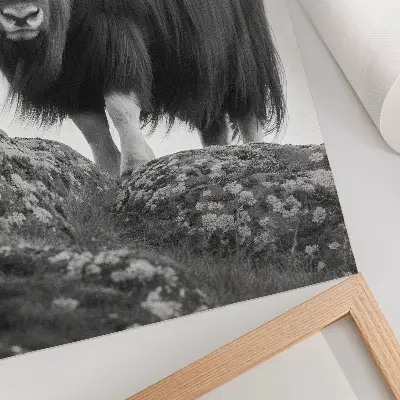 Animal poster black and white nature elegance