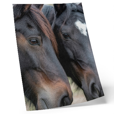 Art print Two horses in close contact, full of elegance