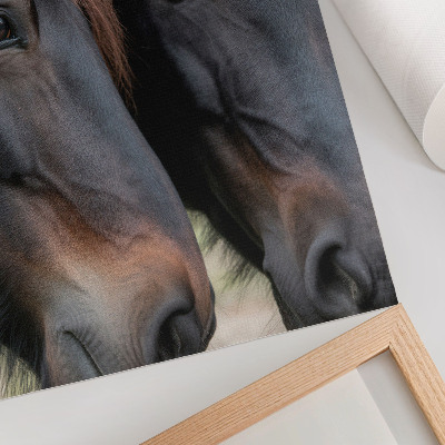 Art print Two horses in close contact, full of elegance