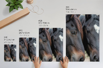 Art print Two horses in close contact, full of elegance
