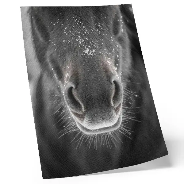 Premium wall art photorealistic close-up of a horse in the snow
