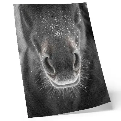 Premium wall art photorealistic close-up of a horse in the snow