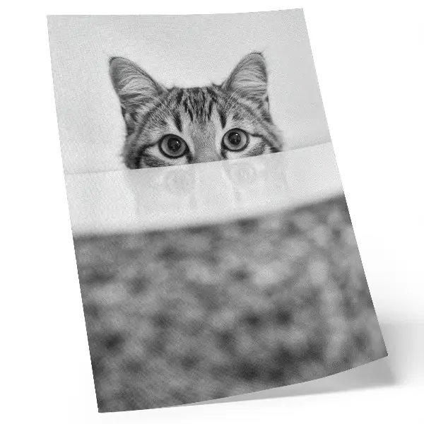 Cat behind the surface poster black and white minimalist design