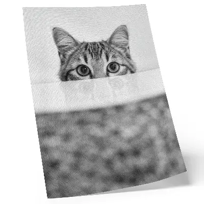 Cat behind the surface poster black and white minimalist design