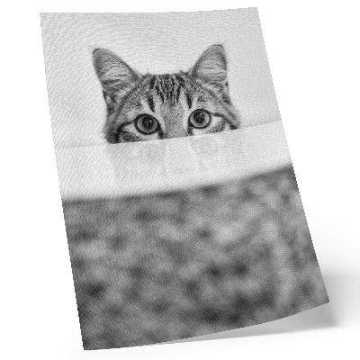 Poster Cat behind the surface black and white minimalism