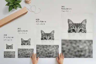 Cat behind the surface poster black and white minimalist design