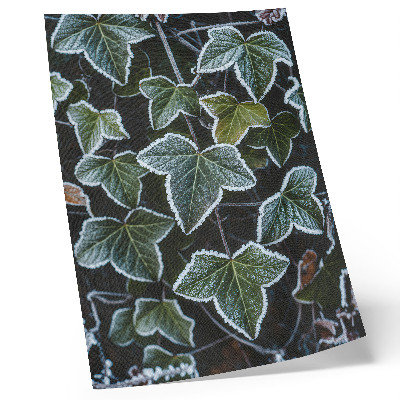 Premium wall art Green leaves with white frost on the edges