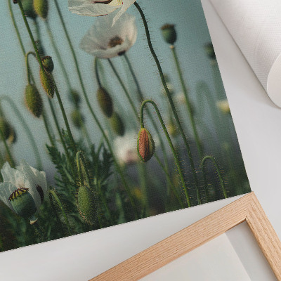 Poster Blooming poppies under a blue sky