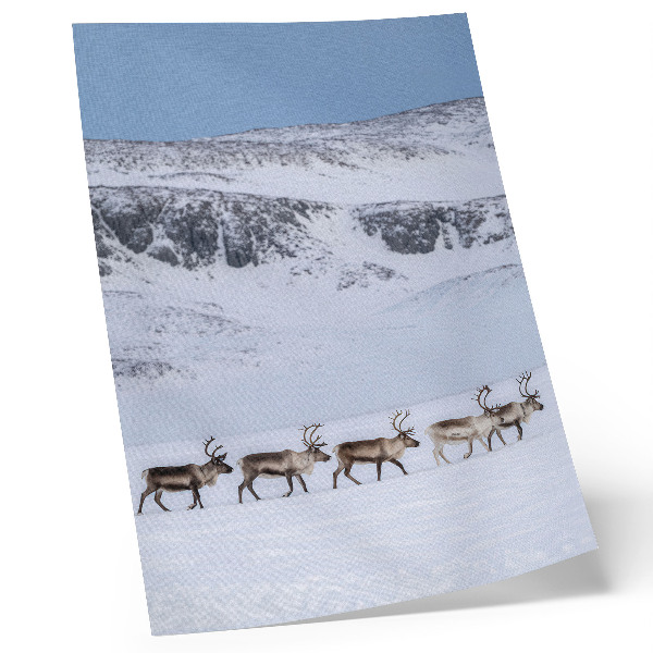 Art print Reindeer against the backdrop of a winter mountain landscape