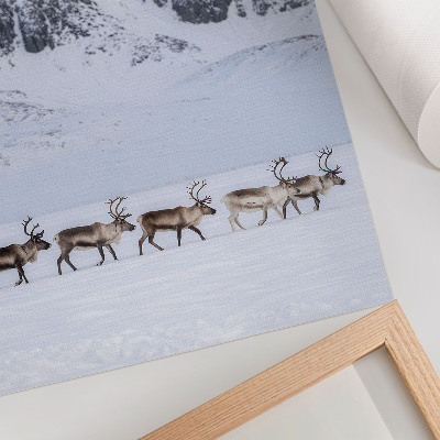 Art print Reindeer against the backdrop of a winter mountain landscape