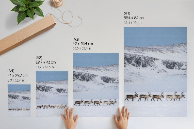 Art print Reindeer against the backdrop of a winter mountain landscape