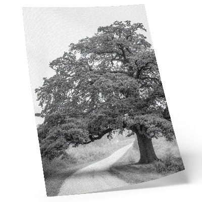 Decorative poster Monumental tree peaceful landscape spread