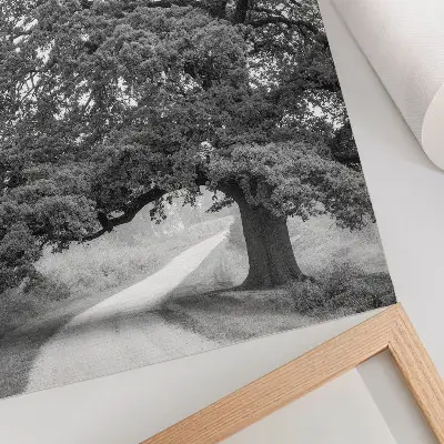 Decorative poster monumental tree in a peaceful landscape