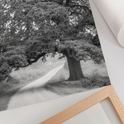 Decorative poster Monumental tree peaceful landscape spread