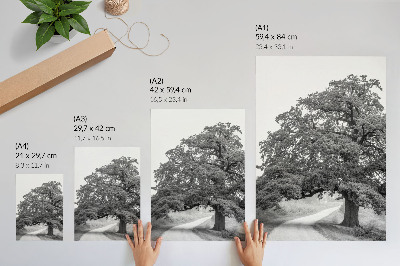 Decorative poster Monumental tree peaceful landscape spread