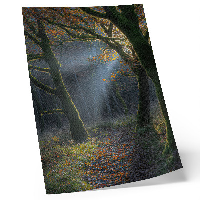 Poster Magical forest autumn light peaceful atmosphere