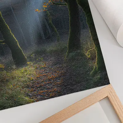 Magical Forest Autumn Light Poster peaceful atmosphere landscape art print