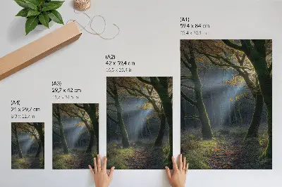 Magical Forest Autumn Light Poster peaceful atmosphere landscape art print