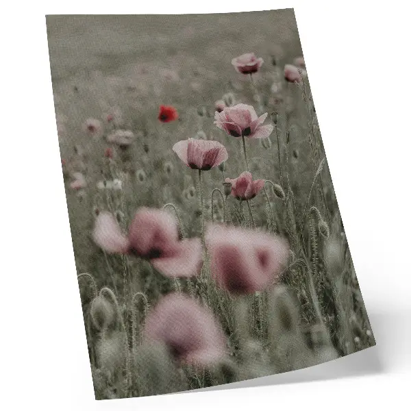 Art print pastel poppies with a romantic atmosphere and subtle flowers