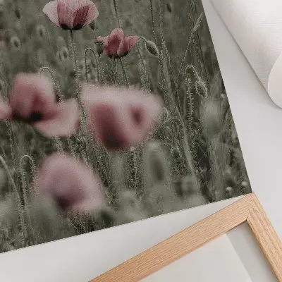 Art print pastel poppies with a romantic atmosphere and subtle flowers