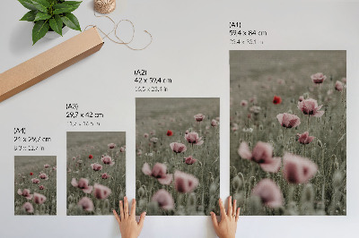 Art print Pastel poppies romantic atmosphere subtle flowers