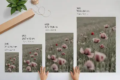 Art print pastel poppies with a romantic atmosphere and subtle flowers