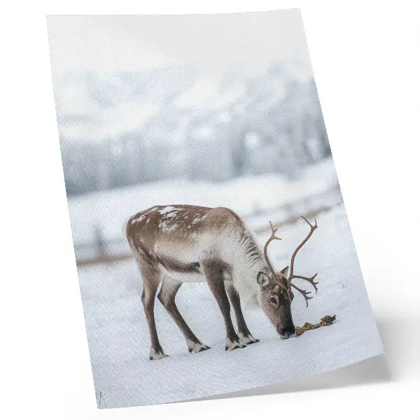 Decorative poster reindeer in the snow featuring a nature theme with peaceful elegance