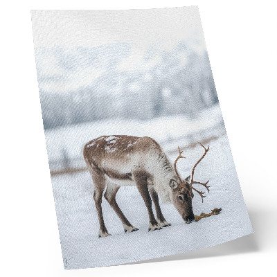 Decorative poster Reindeer in the snow, nature, peace, elegance