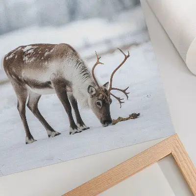 Decorative poster reindeer in the snow featuring a nature theme with peaceful elegance