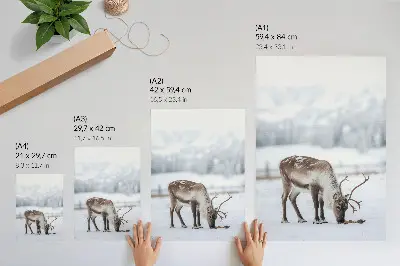 Decorative poster reindeer in the snow featuring a nature theme with peaceful elegance