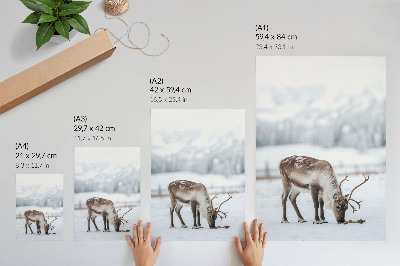 Decorative poster Reindeer in the snow, nature, peace, elegance