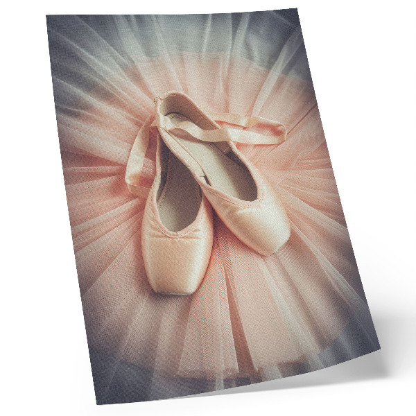Premium wall art Ballet flats on a pink tulle skirt, harmony and elegance