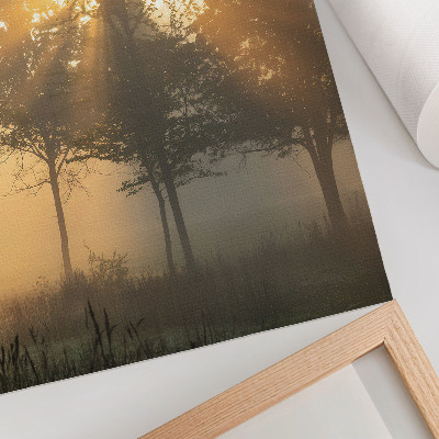 Decorative poster Misty dawn warm light trees inspiration