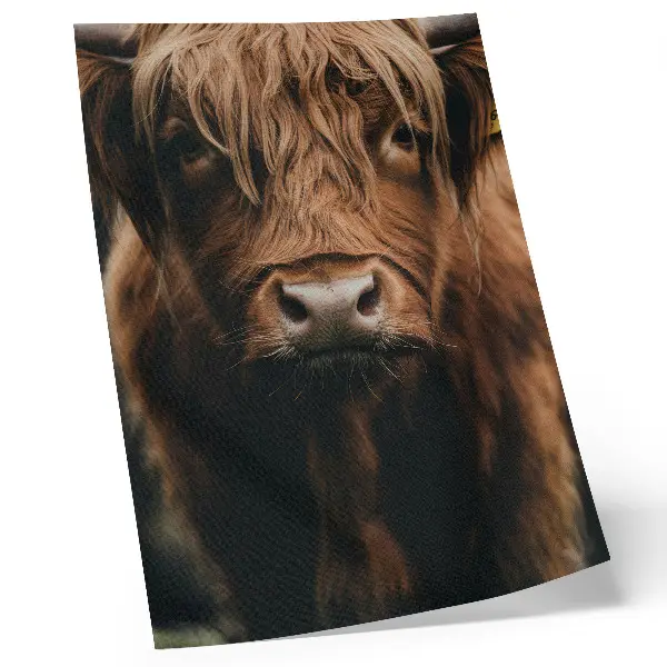 Animal portrait art print rustic fur atmosphere detail