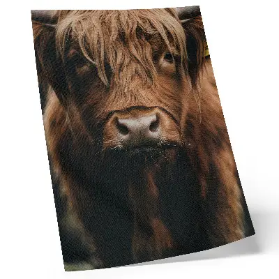 Animal portrait art print rustic fur atmosphere detail